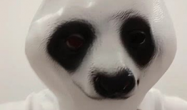 熊猫搞笑视频,萌化你的每一天